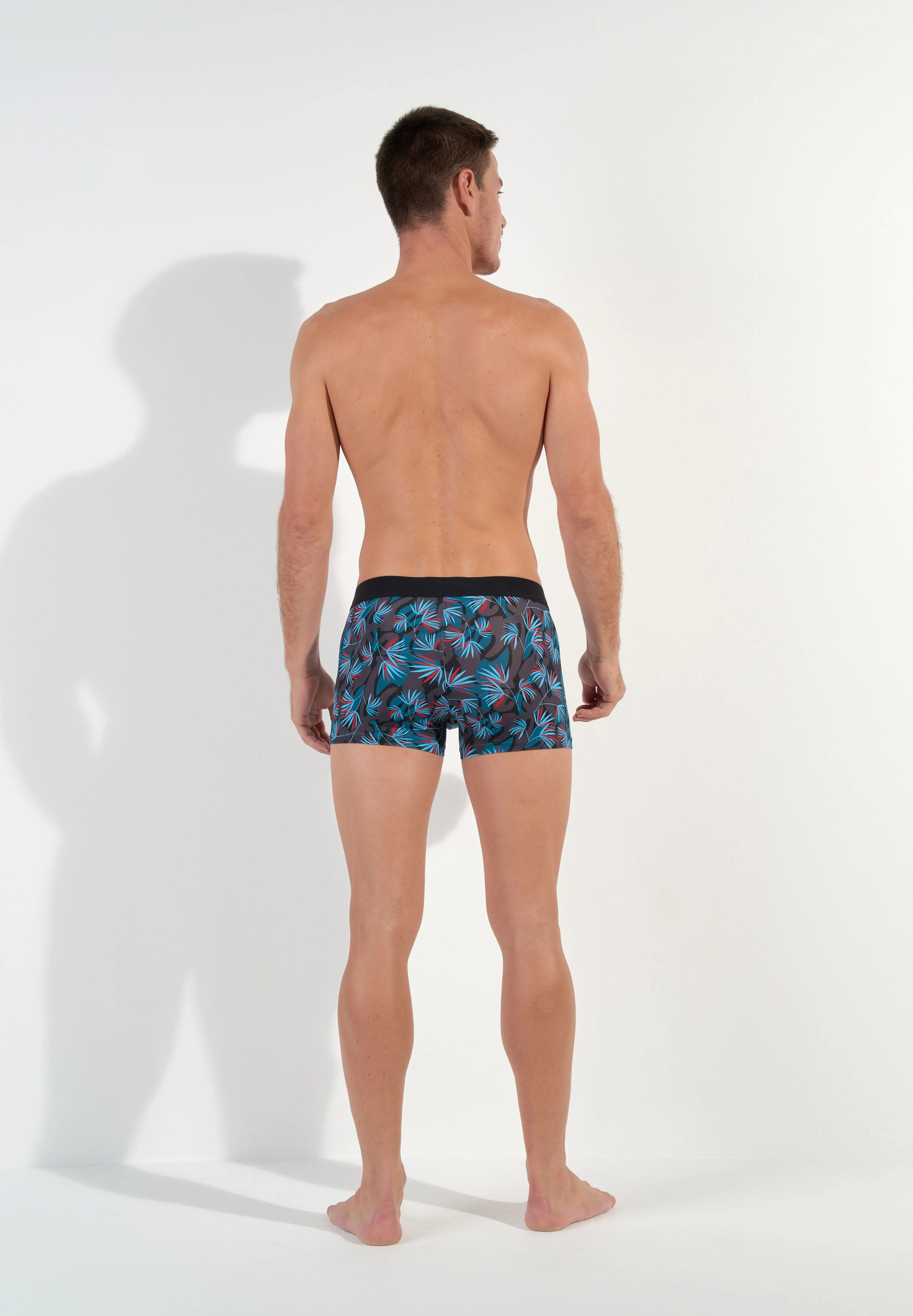 Hanoï Boxer Briefs | Dark Grey Print 402859-P284
