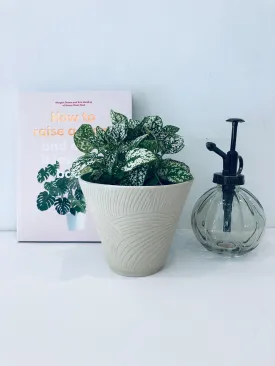 Neutral Etched Planter