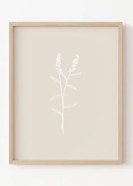 Neutral Lavender