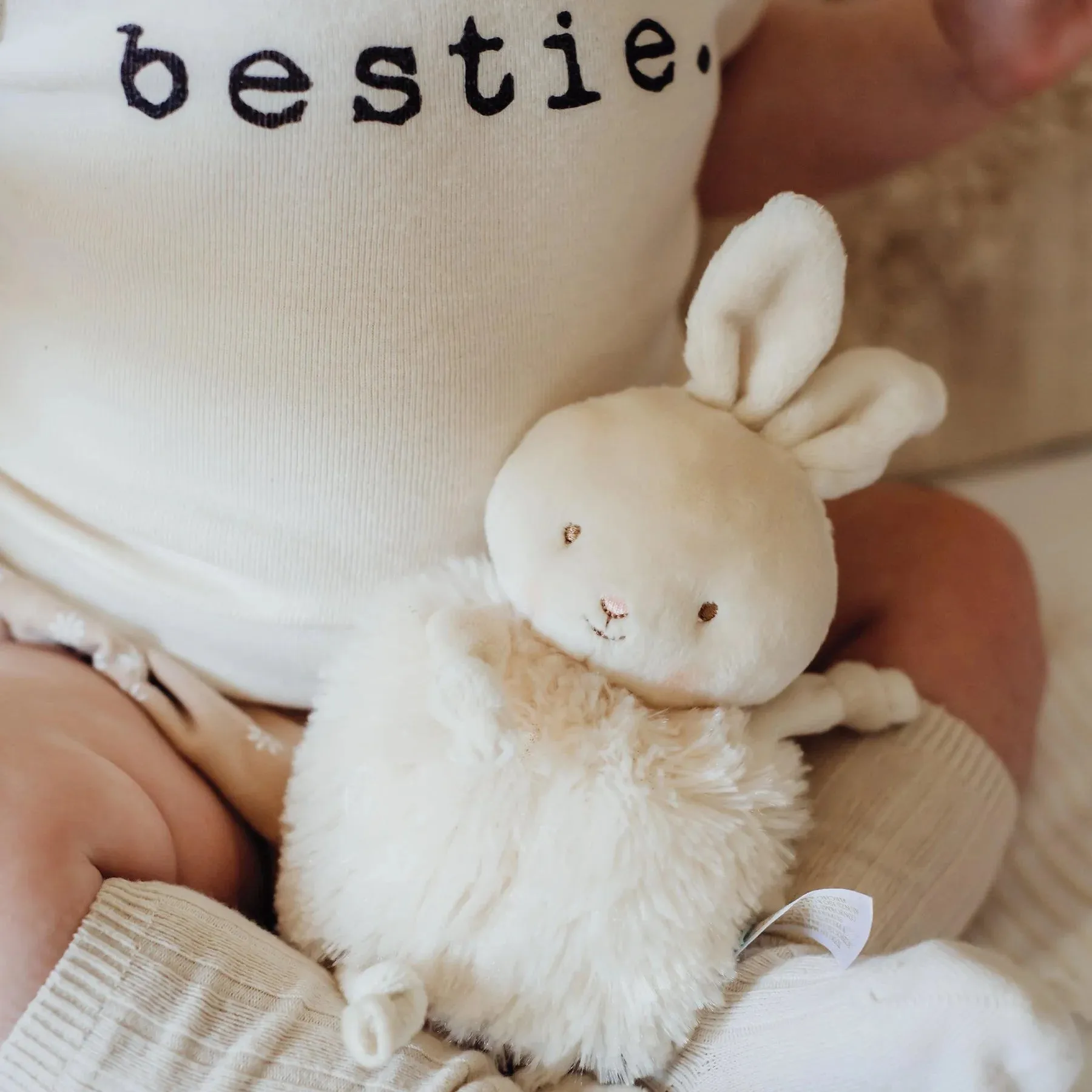 Rutabaga Roly Poly Bunny