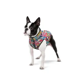 WauDog DC Comics Limited Edition Puffer Jacket - Wonder Woman
